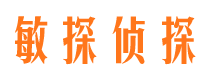 佳县市侦探调查公司